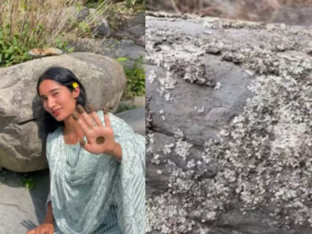 Himachali woman’s stone mehndi is a love letter to her roots. Check viral video